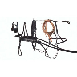 (Mini mini) Shetland Tweespan tuig