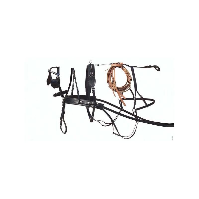 (Mini mini) Shetland Tweespan tuig