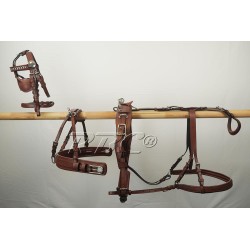 Shetland tuig, luxe line,...