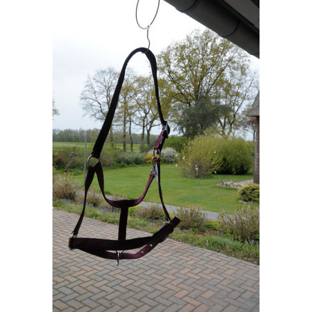 RBC Halster, zacht gevoerd