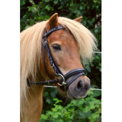 Shetland hoofdstel met diamantjes frontriem