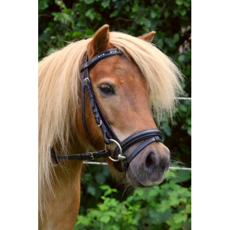 Shetland hoofdstel met diamantjes frontriem Shetland hoofdstel met diamantjes frontriem