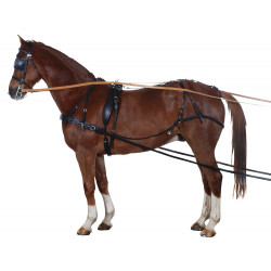 Mini Shetland enkelspan tuig
