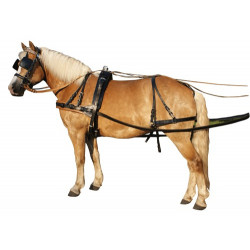 Luxe Road Cart enkelspan