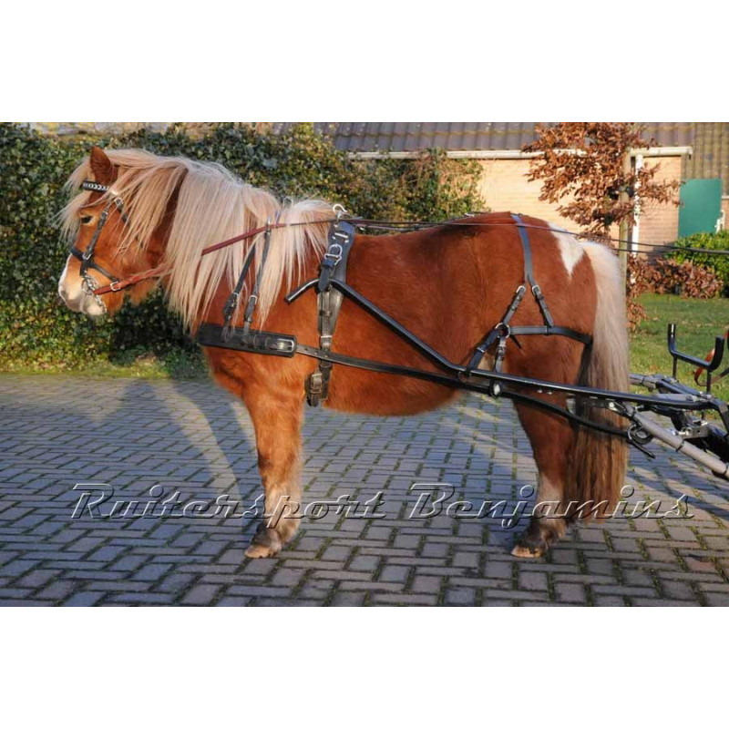 Mini shetlandtuig, luxe line, op maat gemaakt van RBC®.