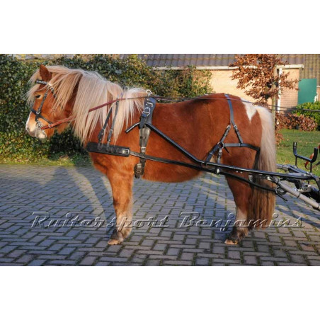 Mini shetlandtuig, luxe line, op maat gemaakt van RBC®.
