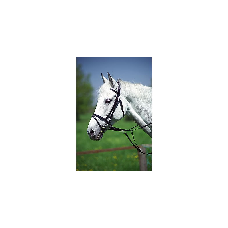 Synthetisch (trainings) hoofdstel