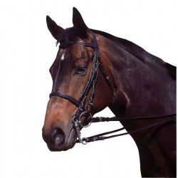 Stang-trens hoofdstel 