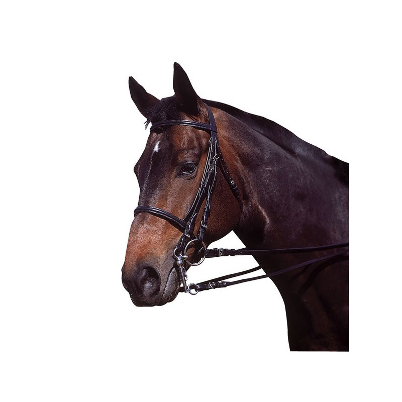 Stang-trens hoofdstel 